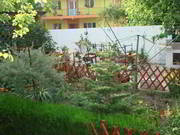 Eforie-Nord-Casa-Bucegi