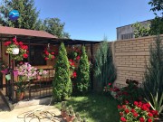 vila-camelia-eforie-nord-9