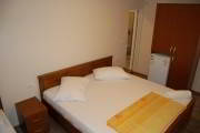 coralia-4