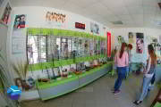 cabinet-optica-medicala-eforie-3