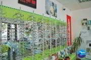cabinet-optica-medicala-eforie-4