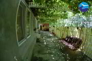 casa-capsunica-eforie-nord-nou-19