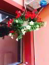 orange-house-constanta-9