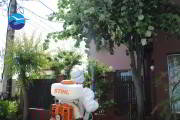 firma-de-deratizare-pe-litoral-8