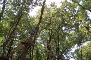 img-20180824-wa0038