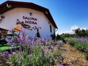 salina-hora-eforie-sud-2